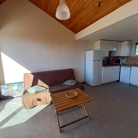 Duplex Avec Terrasse, Parking Et Equipements Modernes Pour 6 Personnes A - Fr-1-387-201 Appartamento